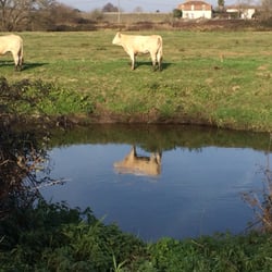 Réserve Naturelle du Marais de Bruges