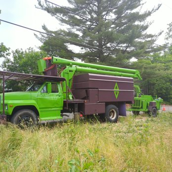 Arbor Asylum - Tree Services Near Me Arbor Asylum - Tree Services Near Me