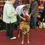 Photo of Paw Pals Pet Accessories