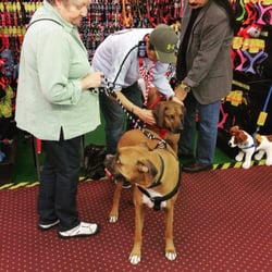 Paw Pals Pet Accessories - Even the biggest pups get big love at Paw Pals!