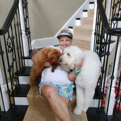 Pawleys Professional Dog Training Center - Dolly & Watson, completed their training!