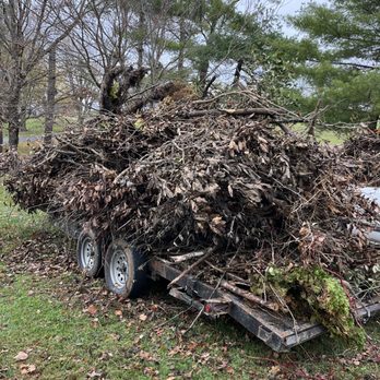 Devine’s tree service  - Tree Services Near Me