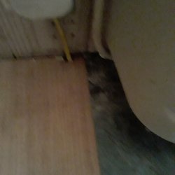 Master City Flooring