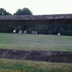 Middletown Archery