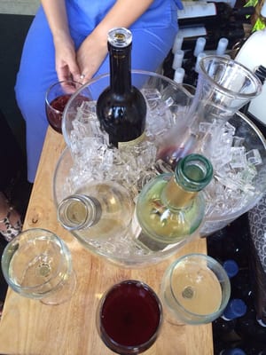 Happy Wine Calle Ocho by null