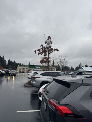 T&T Supermarket Lynnwood by null