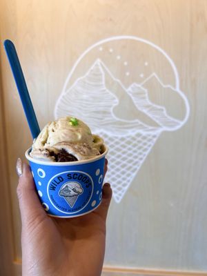Wild Scoops by null