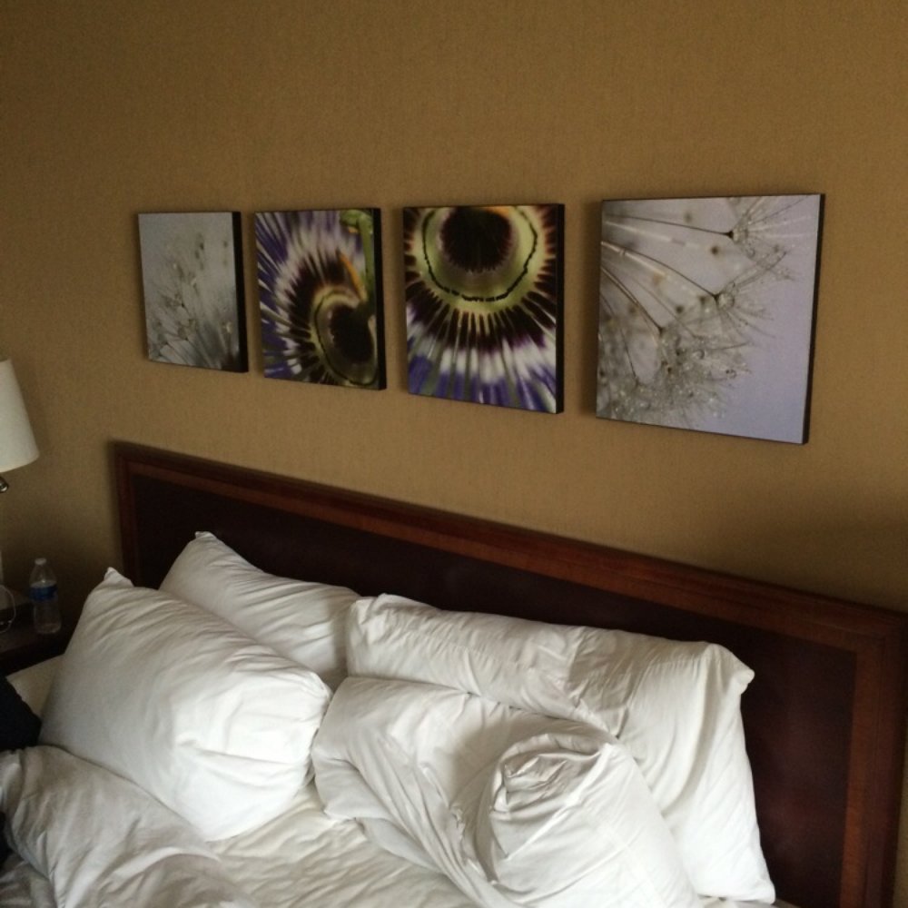 Chicago Marriott Midway - Hotels Near Me - Chicago, Illinois Chicago Marriott Midway - Hotels Near Me - Chicago, Illinois