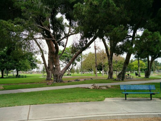 Maxwell Park by null