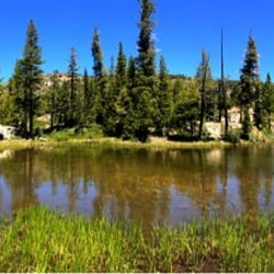 Grass Lake 6/2014