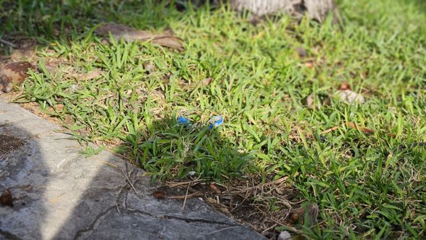 Occidental at Xcaret Destination by null