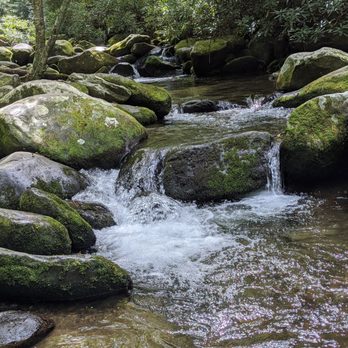 Roaring Fork Motor Nature Trail - Hiking Near Me