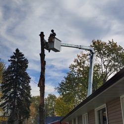 Ground Up Tree Care