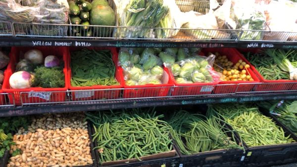 Gandhi Bazar by null