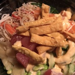 1/2 scoop of tuna & 1/2 salmon 1/2 scoop of tuna & 1/2 salmon