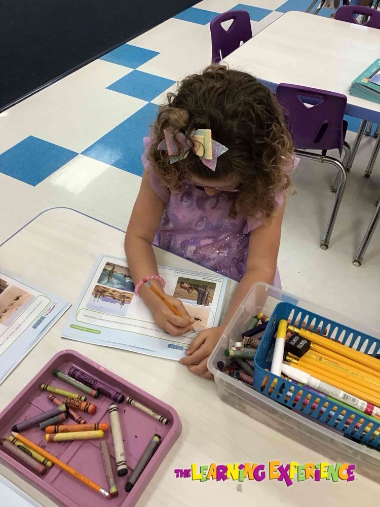 The Learning Experience - New Tampa - childcare center in Tampa, FL