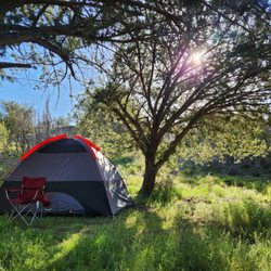 Tonto National Forest - Our campsite at the Cave Creek Group Campground.