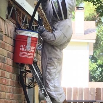 Katy Busy Bee - Gentle removal of the bees and honeycombs - Pest Control Near Me - Katy, Texas Katy Busy Bee - Gentle removal of the bees and honeycombs - Pest Control Near Me - Katy, Texas
