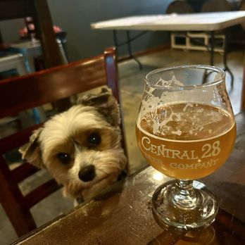 Central 28 Beer Company - Dog Friendly! - Breweries Near Me - Debary, Florida Central 28 Beer Company - Dog Friendly! - Breweries Near Me - Debary, Florida