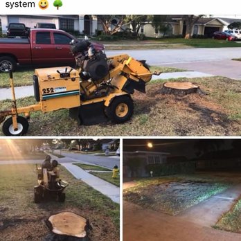 Green Care Tree Service - Green Care Tree Service - Tree Services Near Me Green Care Tree Service - Green Care Tree Service - Tree Services Near Me