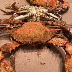 The Spot For Seafood