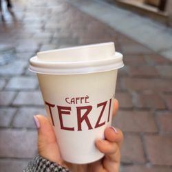 Terzi