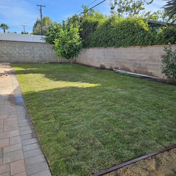 Beyond Remodeling and Building - New sod - General Contractors Near Me - Encino, California Beyond Remodeling and Building - New sod - General Contractors Near Me - Encino, California