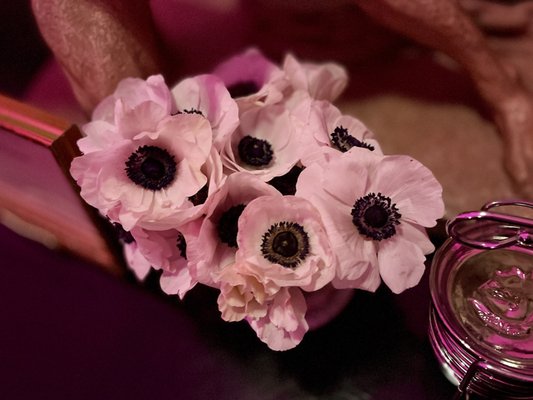 Saint Joseph’s Arts Society by null