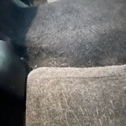 Hoboken Brushless Car Wash - Dog hair that was not vacuumed