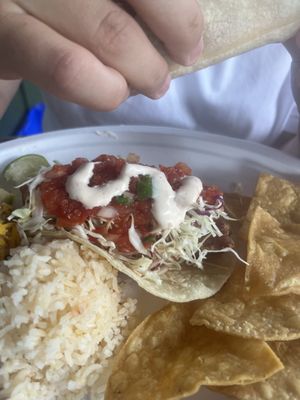 Tropical Taco by null