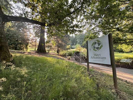 Hoyt Arboretum by null