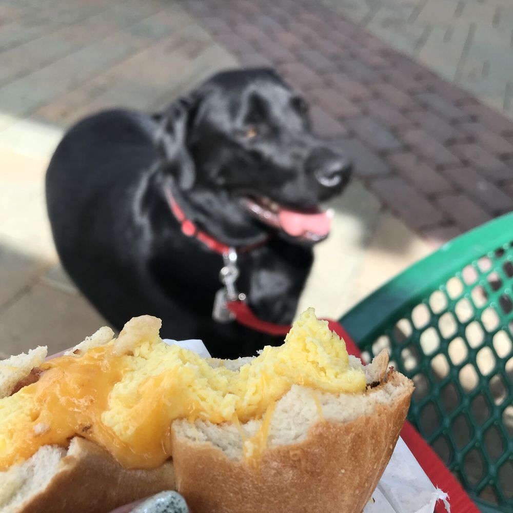 Yum Yum Donuts - Bagel Breakfast Sandwich - March 2018 - Donuts Near Me - Redlands, California Yum Yum Donuts - Bagel Breakfast Sandwich - March 2018 - Donuts Near Me - Redlands, California