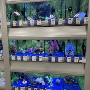 PetSmart - 8.9.26 - Pet Groomers Near Me - Columbia, Maryland