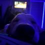 Photo of Canine Perceptions
