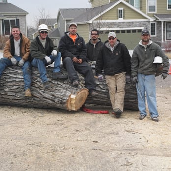 Tree Pros - The Crew - Tree Services Near Me - Denver, Colorado