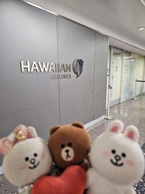 Hawaiian Airlines Premier Club by null
