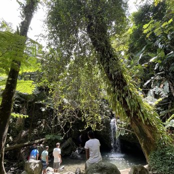 El Yunque Rainforest - Hiking Near Me - Luquillo, Puerto Rico