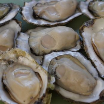 Ham Produce & Seafood Inc - Good size oysters in this box fR. Ham & Produce *5/31/23 - Seafood Markets Near Me - Honolulu, Hawaii Ham Produce & Seafood Inc - Good size oysters in this box fR. Ham & Produce *5/31/23 - Seafood Markets Near Me - Honolulu, Hawaii