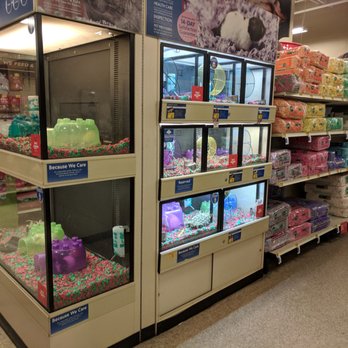 PetSmart - Rodents - Pet Groomers Near Me - Cedar Park, Texas PetSmart - Rodents - Pet Groomers Near Me - Cedar Park, Texas
