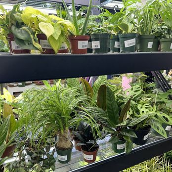 Found Things - Nurseries & Gardening Near Me - Syracuse, New York
