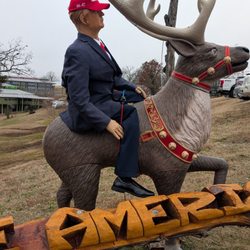 Trump Store
