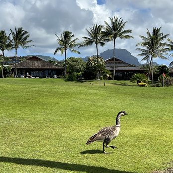 Kukuiula - Real Estate Agents Near Me - Poipu, Hawaii Kukuiula - Real Estate Agents Near Me - Poipu, Hawaii