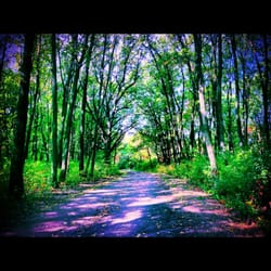 Sag Valley Trail System and Forest Preserve - September 2012