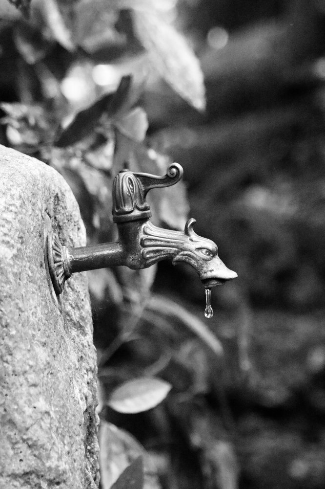 Slide of 303 Drain Now