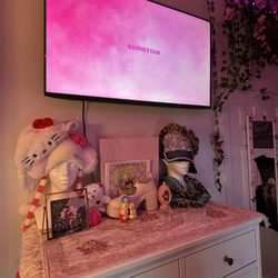 JR Mounting - My daughter's bedroom she has a loft bed so we relied on him for his professional opinion on tv placement We would recommend