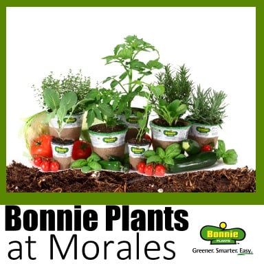 Morales Feed & Supply