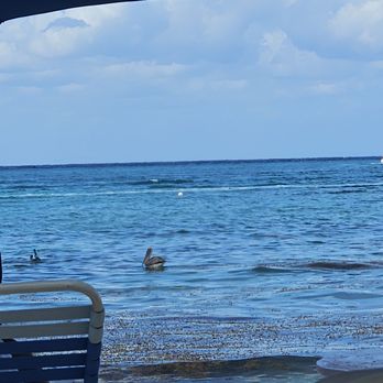 Paradise Beach - Beaches Near Me - Martínez de La Torre, VER