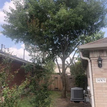 Texas Tree Pros - Nice clean up. Raised the cape. - Tree Services Near Me Texas Tree Pros - Nice clean up. Raised the cape. - Tree Services Near Me