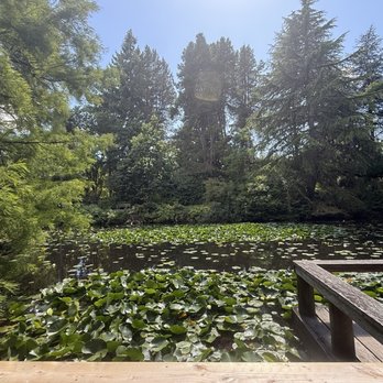 VanDusen Botanical Garden - Botanical Gardens Near Me - Vancouver, British Columbia