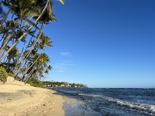 Diamond Head Beach Park by null